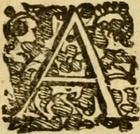 An illustration from Andreae Argoli ... Ephemerides annorum L iuxta Tychonis hypotheses : et accuratè e coelo deductas observationes, ab anno 1630 ad annum 1680 (1638)