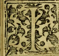 An illustration from Andreae Argoli ... Ephemerides annorum L iuxta Tychonis hypotheses : et accuratè e coelo deductas observationes, ab anno 1630 ad annum 1680 (1638)