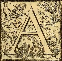 An illustration from Andreae Caesalpini Aretini ... Peripateticarum quaestionum libri quinque : ad potentissimum & felicissimum Franciscum Medicen Florentiae et senarum principem (1571)