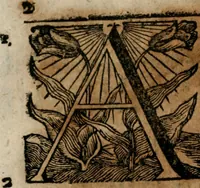 An illustration from Andreae Christophori Róseneri Tractatus juridicus de libris mercatorum von denen Handels-Büchern. In qvo perutilis haec tam seriem causarum dilucidè traditur, ac collegiorum juridicorum responsis illustratur, cum summariis rerumq; ac verborum indice (1694)