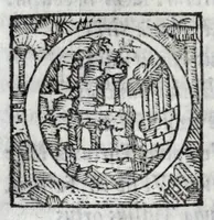 An illustration from Andreae Fuluii Sabini antiquarii De Vrbis antiquitatibus libri quinque ; item, De Vrbis eiusdem laudibus oratio ; In populi Ro. laudem elegeia ; De Romuli, & Remi expositione egloga : quae cuncta, me[n]dis omnibus quib[us] prior editio squallebat : nuper excussa ac repurgata : indice copiosissimo ordinatissimo[que] repposito (1545)