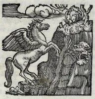 Picture 5 of 5 from Andreae Fuluii Sabini antiquarii De Vrbis antiquitatibus libri quinque ; item, De Vrbis eiusdem laudibus oratio ; In populi Ro. laudem elegeia ; De Romuli, & Remi expositione egloga : quae cuncta, me[n]dis omnibus quib[us] prior editio squallebat : nuper excussa ac repurgata : indice copiosissimo ordinatissimo[que] repposito (1545), leaf 518