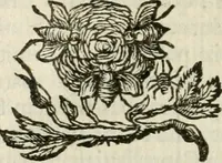 An illustration from Andreae Maximiliani Fredro castellani Leopoliensis, Scriptorum seu togae & belli notationum fragmenta : accesserunt Peristromata regum symbolis expressa (1660)