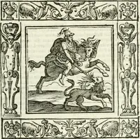 Picture 24 of 228 from Andreæ Alciati emblemata cvm commentariis Clavdii Minois...: & notis Lavrentii Pignorii Patavini : nouissima hac editione in continuam vnius commentarij seriem congestis, in certas quasdam quasi classes dispositis, & plusquam dimidia parte auctis (1621), leaf 164