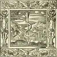 An illustration from Andreæ Alciati emblemata cvm commentariis Clavdii Minois...: & notis Lavrentii Pignorii Patavini : nouissima hac editione in continuam vnius commentarij seriem congestis, in certas quasdam quasi classes dispositis, & plusquam dimidia parte auctis (1621)