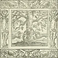 Picture 34 of 228 from Andreæ Alciati emblemata cvm commentariis Clavdii Minois...: & notis Lavrentii Pignorii Patavini : nouissima hac editione in continuam vnius commentarij seriem congestis, in certas quasdam quasi classes dispositis, & plusquam dimidia parte auctis (1621), leaf 218