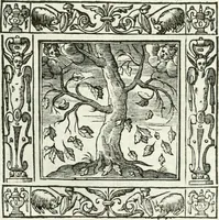 An illustration from Andreæ Alciati emblemata cvm commentariis Clavdii Minois...: & notis Lavrentii Pignorii Patavini : nouissima hac editione in continuam vnius commentarij seriem congestis, in certas quasdam quasi classes dispositis, & plusquam dimidia parte auctis (1621)