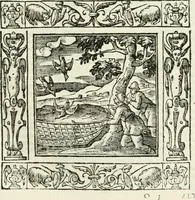 An illustration from Andreæ Alciati emblemata cvm commentariis Clavdii Minois...: & notis Lavrentii Pignorii Patavini : nouissima hac editione in continuam vnius commentarij seriem congestis, in certas quasdam quasi classes dispositis, & plusquam dimidia parte auctis (1621)