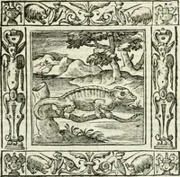 Picture 63 of 228 from Andreæ Alciati emblemata cvm commentariis Clavdii Minois...: & notis Lavrentii Pignorii Patavini : nouissima hac editione in continuam vnius commentarij seriem congestis, in certas quasdam quasi classes dispositis, & plusquam dimidia parte auctis (1621), leaf 338