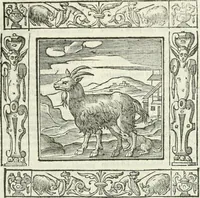 An illustration from Andreæ Alciati emblemata cvm commentariis Clavdii Minois...: & notis Lavrentii Pignorii Patavini : nouissima hac editione in continuam vnius commentarij seriem congestis, in certas quasdam quasi classes dispositis, & plusquam dimidia parte auctis (1621)