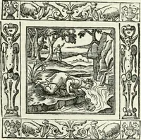 Picture 79 of 228 from Andreæ Alciati emblemata cvm commentariis Clavdii Minois...: & notis Lavrentii Pignorii Patavini : nouissima hac editione in continuam vnius commentarij seriem congestis, in certas quasdam quasi classes dispositis, & plusquam dimidia parte auctis (1621), leaf 388