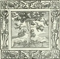 Picture 83 of 228 from Andreæ Alciati emblemata cvm commentariis Clavdii Minois...: & notis Lavrentii Pignorii Patavini : nouissima hac editione in continuam vnius commentarij seriem congestis, in certas quasdam quasi classes dispositis, & plusquam dimidia parte auctis (1621), leaf 408