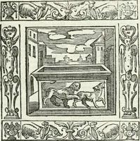 Picture 84 of 228 from Andreæ Alciati emblemata cvm commentariis Clavdii Minois...: & notis Lavrentii Pignorii Patavini : nouissima hac editione in continuam vnius commentarij seriem congestis, in certas quasdam quasi classes dispositis, & plusquam dimidia parte auctis (1621), leaf 412