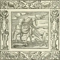 An illustration from Andreæ Alciati emblemata cvm commentariis Clavdii Minois...: & notis Lavrentii Pignorii Patavini : nouissima hac editione in continuam vnius commentarij seriem congestis, in certas quasdam quasi classes dispositis, & plusquam dimidia parte auctis (1621)