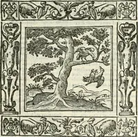 An illustration from Andreæ Alciati emblemata cvm commentariis Clavdii Minois...: & notis Lavrentii Pignorii Patavini : nouissima hac editione in continuam vnius commentarij seriem congestis, in certas quasdam quasi classes dispositis, & plusquam dimidia parte auctis (1621)