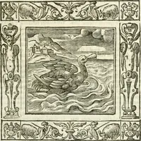 Picture 108 of 228 from Andreæ Alciati emblemata cvm commentariis Clavdii Minois...: & notis Lavrentii Pignorii Patavini : nouissima hac editione in continuam vnius commentarij seriem congestis, in certas quasdam quasi classes dispositis, & plusquam dimidia parte auctis (1621), leaf 486