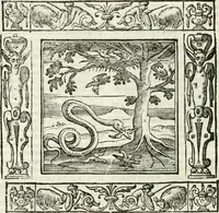 An illustration from Andreæ Alciati emblemata cvm commentariis Clavdii Minois...: & notis Lavrentii Pignorii Patavini : nouissima hac editione in continuam vnius commentarij seriem congestis, in certas quasdam quasi classes dispositis, & plusquam dimidia parte auctis (1621)