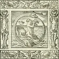Picture 146 of 228 from Andreæ Alciati emblemata cvm commentariis Clavdii Minois...: & notis Lavrentii Pignorii Patavini : nouissima hac editione in continuam vnius commentarij seriem congestis, in certas quasdam quasi classes dispositis, & plusquam dimidia parte auctis (1621), leaf 651