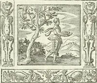 Picture 156 of 228 from Andreæ Alciati emblemata cvm commentariis Clavdii Minois...: & notis Lavrentii Pignorii Patavini : nouissima hac editione in continuam vnius commentarij seriem congestis, in certas quasdam quasi classes dispositis, & plusquam dimidia parte auctis (1621), leaf 694