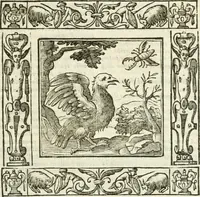 Picture 183 of 228 from Andreæ Alciati emblemata cvm commentariis Clavdii Minois...: & notis Lavrentii Pignorii Patavini : nouissima hac editione in continuam vnius commentarij seriem congestis, in certas quasdam quasi classes dispositis, & plusquam dimidia parte auctis (1621), leaf 792