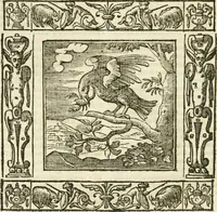 Picture 187 of 228 from Andreæ Alciati emblemata cvm commentariis Clavdii Minois...: & notis Lavrentii Pignorii Patavini : nouissima hac editione in continuam vnius commentarij seriem congestis, in certas quasdam quasi classes dispositis, & plusquam dimidia parte auctis (1621), leaf 805