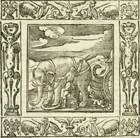 Picture 191 of 228 from Andreæ Alciati emblemata cvm commentariis Clavdii Minois...: & notis Lavrentii Pignorii Patavini : nouissima hac editione in continuam vnius commentarij seriem congestis, in certas quasdam quasi classes dispositis, & plusquam dimidia parte auctis (1621), leaf 817