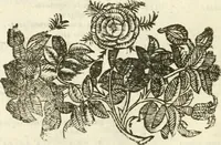 An illustration from Andreæ Alciati emblemata cvm commentariis Clavdii Minois...: & notis Lavrentii Pignorii Patavini : nouissima hac editione in continuam vnius commentarij seriem congestis, in certas quasdam quasi classes dispositis, & plusquam dimidia parte auctis (1621)