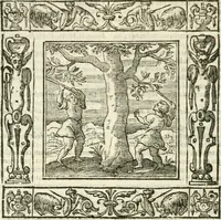 Picture 208 of 228 from Andreæ Alciati emblemata cvm commentariis Clavdii Minois...: & notis Lavrentii Pignorii Patavini : nouissima hac editione in continuam vnius commentarij seriem congestis, in certas quasdam quasi classes dispositis, & plusquam dimidia parte auctis (1621), leaf 905