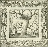 Picture 209 of 228 from Andreæ Alciati emblemata cvm commentariis Clavdii Minois...: & notis Lavrentii Pignorii Patavini : nouissima hac editione in continuam vnius commentarij seriem congestis, in certas quasdam quasi classes dispositis, & plusquam dimidia parte auctis (1621), leaf 907