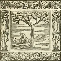 An illustration from Andreæ Alciati emblemata cvm commentariis Clavdii Minois...: & notis Lavrentii Pignorii Patavini : nouissima hac editione in continuam vnius commentarij seriem congestis, in certas quasdam quasi classes dispositis, & plusquam dimidia parte auctis (1621)