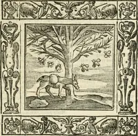 An illustration from Andreæ Alciati emblemata cvm commentariis Clavdii Minois...: & notis Lavrentii Pignorii Patavini : nouissima hac editione in continuam vnius commentarij seriem congestis, in certas quasdam quasi classes dispositis, & plusquam dimidia parte auctis (1621)