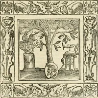 Picture 225 of 228 from Andreæ Alciati emblemata cvm commentariis Clavdii Minois...: & notis Lavrentii Pignorii Patavini : nouissima hac editione in continuam vnius commentarij seriem congestis, in certas quasdam quasi classes dispositis, & plusquam dimidia parte auctis (1621), leaf 964