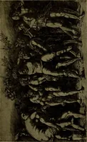 An illustration from Andrea Mantegna and the Italian pre-Raphaelite engravers (1911)