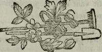 Picture 6 of 7 from Anecdotes des beaux-arts : contenant tout ce que la peinture, la sculpture, la gravure, l'architecture, la littérature, la musique, &c. ... : avec des notes historiques & critiques, & des tables raisonnées ... / par M. *** (1776), leaf 205