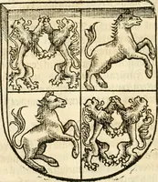 Picture 56 of 234 from Anfang, Vrsprug und Herkomen des Thurniers inn Teutscher Nation : wieuil Thurnier biss vff den letztenn zu Wormbs : auch wie vnnd an welchen Orten die gehalten vñ durch was Fürsten, Grauen, Herrn, Ritter vñ vom Adel, sie iederzeit besucht worden sindt .. (1532), leaf 107