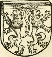 Picture 76 of 234 from Anfang, Vrsprug und Herkomen des Thurniers inn Teutscher Nation : wieuil Thurnier biss vff den letztenn zu Wormbs : auch wie vnnd an welchen Orten die gehalten vñ durch was Fürsten, Grauen, Herrn, Ritter vñ vom Adel, sie iederzeit besucht worden sindt .. (1532), leaf 133