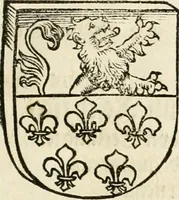 Picture 94 of 234 from Anfang, Vrsprug und Herkomen des Thurniers inn Teutscher Nation : wieuil Thurnier biss vff den letztenn zu Wormbs : auch wie vnnd an welchen Orten die gehalten vñ durch was Fürsten, Grauen, Herrn, Ritter vñ vom Adel, sie iederzeit besucht worden sindt .. (1532), leaf 178