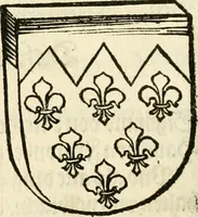 Picture 128 of 234 from Anfang, Vrsprug und Herkomen des Thurniers inn Teutscher Nation : wieuil Thurnier biss vff den letztenn zu Wormbs : auch wie vnnd an welchen Orten die gehalten vñ durch was Fürsten, Grauen, Herrn, Ritter vñ vom Adel, sie iederzeit besucht worden sindt .. (1532), leaf 239