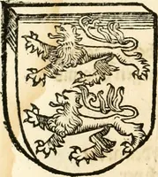 Picture 207 of 234 from Anfang, Vrsprug und Herkomen des Thurniers inn Teutscher Nation : wieuil Thurnier biss vff den letztenn zu Wormbs : auch wie vnnd an welchen Orten die gehalten vñ durch was Fürsten, Grauen, Herrn, Ritter vñ vom Adel, sie iederzeit besucht worden sindt .. (1532), leaf 387