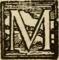 An illustration from Angeli Aretini De maleficiis tractatus : de inquirendis animaduertendisq[ue] criminibus, opus nedum vtile, sed necessarium omnibus, maxime ijs, qui ad prouincias regendas constituti sunt ; cui tractatus Alberti de Gandino, nec non Bonifacii de Vitellinis, vnà cum apostillis Augustini de Arimino, & Hieronymi Chuchalon, veluti apendices subiecimus ... cum eiusdem Angeli vita (1573)