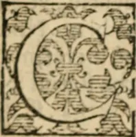 An illustration from Angeli Aretini De maleficiis tractatus : de inquirendis animaduertendisq[ue] criminibus, opus nedum vtile, sed necessarium omnibus, maxime ijs, qui ad prouincias regendas constituti sunt ; cui tractatus Alberti de Gandino, nec non Bonifacii de Vitellinis, vnà cum apostillis Augustini de Arimino, & Hieronymi Chuchalon, veluti apendices subiecimus ... cum eiusdem Angeli vita (1573)