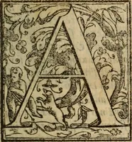 An illustration from Angeli Aretini De maleficiis tractatus : de inquirendis animaduertendisq[ue] criminibus, opus nedum vtile, sed necessarium omnibus, maxime ijs, qui ad prouincias regendas constituti sunt ; cui tractatus Alberti de Gandino, nec non Bonifacii de Vitellinis, vnà cum apostillis Augustini de Arimino, & Hieronymi Chuchalon, veluti apendices subiecimus ... cum eiusdem Angeli vita (1573)