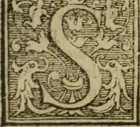An illustration from Angeli Aretini De maleficiis tractatus : de inquirendis animaduertendisq[ue] criminibus, opus nedum vtile, sed necessarium omnibus, maxime ijs, qui ad prouincias regendas constituti sunt ; cui tractatus Alberti de Gandino, nec non Bonifacii de Vitellinis, vnà cum apostillis Augustini de Arimino, & Hieronymi Chuchalon, veluti apendices subiecimus ... cum eiusdem Angeli vita (1573)