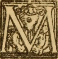 An illustration from Angeli Aretini De maleficiis tractatus : de inquirendis animaduertendisq[ue] criminibus, opus nedum vtile, sed necessarium omnibus, maxime ijs, qui ad prouincias regendas constituti sunt ; cui tractatus Alberti de Gandino, nec non Bonifacii de Vitellinis, vnà cum apostillis Augustini de Arimino, & Hieronymi Chuchalon, veluti apendices subiecimus ... cum eiusdem Angeli vita (1573)
