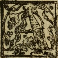 An illustration from Angeli Aretini De maleficiis tractatus : de inquirendis animaduertendisq[ue] criminibus, opus nedum vtile, sed necessarium omnibus, maxime ijs, qui ad prouincias regendas constituti sunt ; cui tractatus Alberti de Gandino, nec non Bonifacii de Vitellinis, vnà cum apostillis Augustini de Arimino, & Hieronymi Chuchalon, veluti apendices subiecimus ... cum eiusdem Angeli vita (1573)