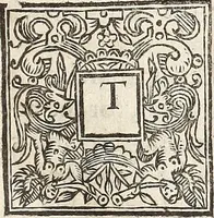 An illustration from Anglia rediviva; = Englands recovery: being the history of the motions, actions, and successes of the army under the immediate conduct of His Excellency Sr. Thomas Fairfax, Kt. Captain-General of all the Parliaments forces in England. (1647)
