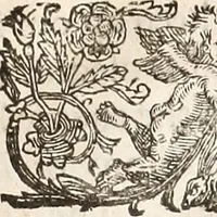 An illustration from Anglia rediviva; = Englands recovery: being the history of the motions, actions, and successes of the army under the immediate conduct of His Excellency Sr. Thomas Fairfax, Kt. Captain-General of all the Parliaments forces in England. (1647)