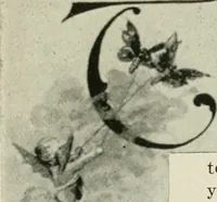 An illustration from Anglo-American pottery; old English china with American views, a manual for collectors (1899)