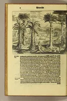An illustration from Anhang der Beschreibung dess Königreichs Congo. : Innhaltend, fünff Schiffarten Samuel Brauns Burgers vnd Wundartzt zu Basel, so er kurtz verwichener Jahren in vnderschiedliche weit entlegene frembde Konigreich vnd Landschafften glücklich gethan, nemlich in Africam vnd dessen Provincien Congo, Bansa Loanga, Angola, Guinea, Morenland, Bennin, Amboisa, vnd zu dem Festen Castell Nassaw in More. Item gen Alexandriam in Syrien, in Portugal, Hispanien, Italien, wie auch vnderschiedliche Insuln, als da sind die Canarian, Medera, Cales Males, Malta, Candia, Cypern, Sicilien, Sardegna, Corfu, und ander mehr, biss zu seiner wider Ankunsst in Holland. (1625)