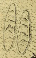 An illustration from Anhang der Beschreibung dess Königreichs Congo. : Innhaltend, fünff Schiffarten Samuel Brauns Burgers vnd Wundartzt zu Basel, so er kurtz verwichener Jahren in vnderschiedliche weit entlegene frembde Konigreich vnd Landschafften glücklich gethan, nemlich in Africam vnd dessen Provincien Congo, Bansa Loanga, Angola, Guinea, Morenland, Bennin, Amboisa, vnd zu dem Festen Castell Nassaw in More. Item gen Alexandriam in Syrien, in Portugal, Hispanien, Italien, wie auch vnderschiedliche Insuln, als da sind die Canarian, Medera, Cales Males, Malta, Candia, Cypern, Sicilien, Sardegna, Corfu, und ander mehr, biss zu seiner wider Ankunsst in Holland. (1625)